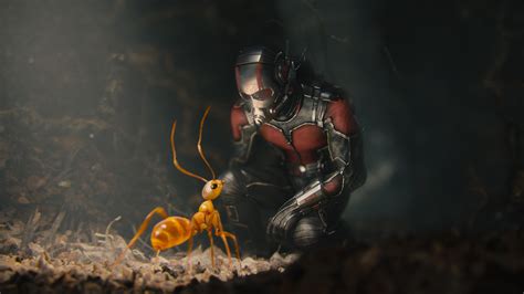 sockshare ant-man|Ant.